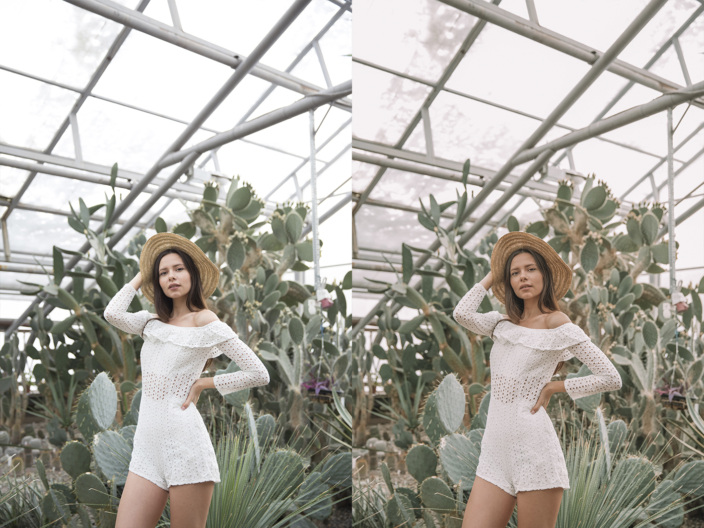 Preset Alina Kiviart "Cactus"