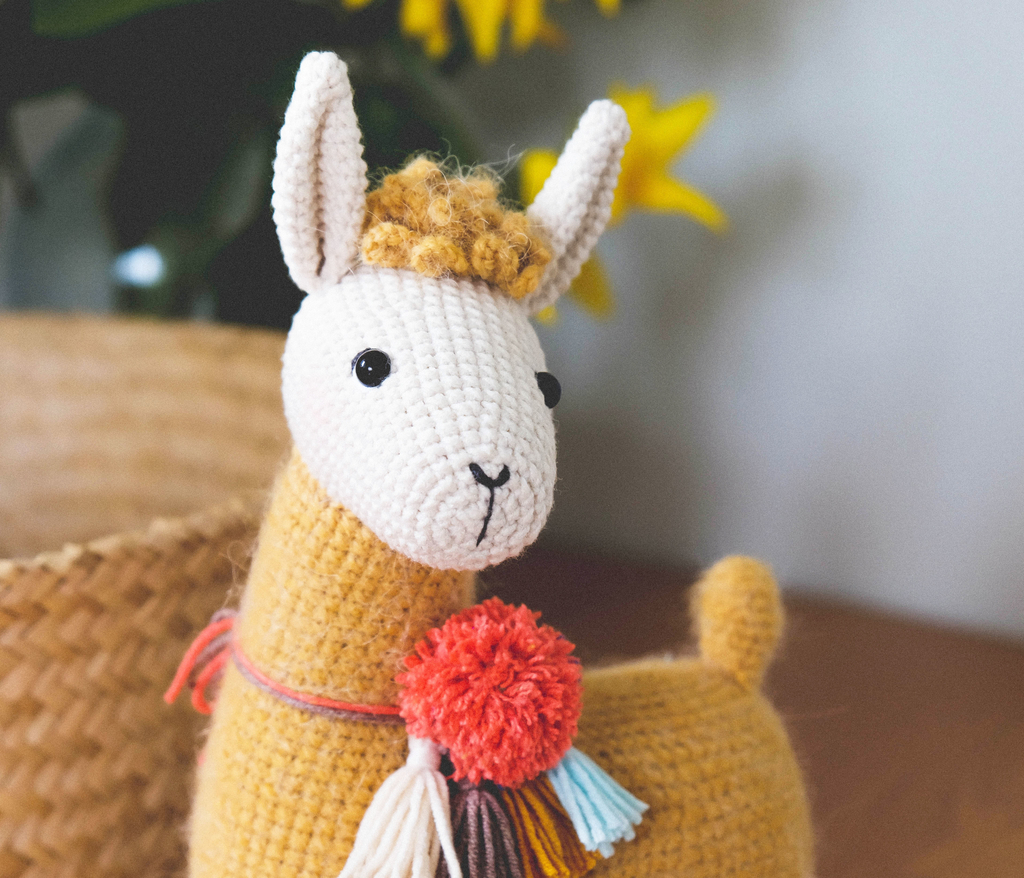 Мастер-класс  Ами Лама