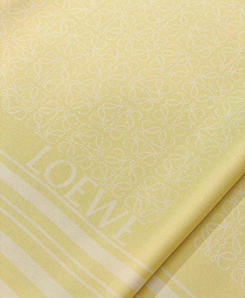 Шёлк LOEWE
