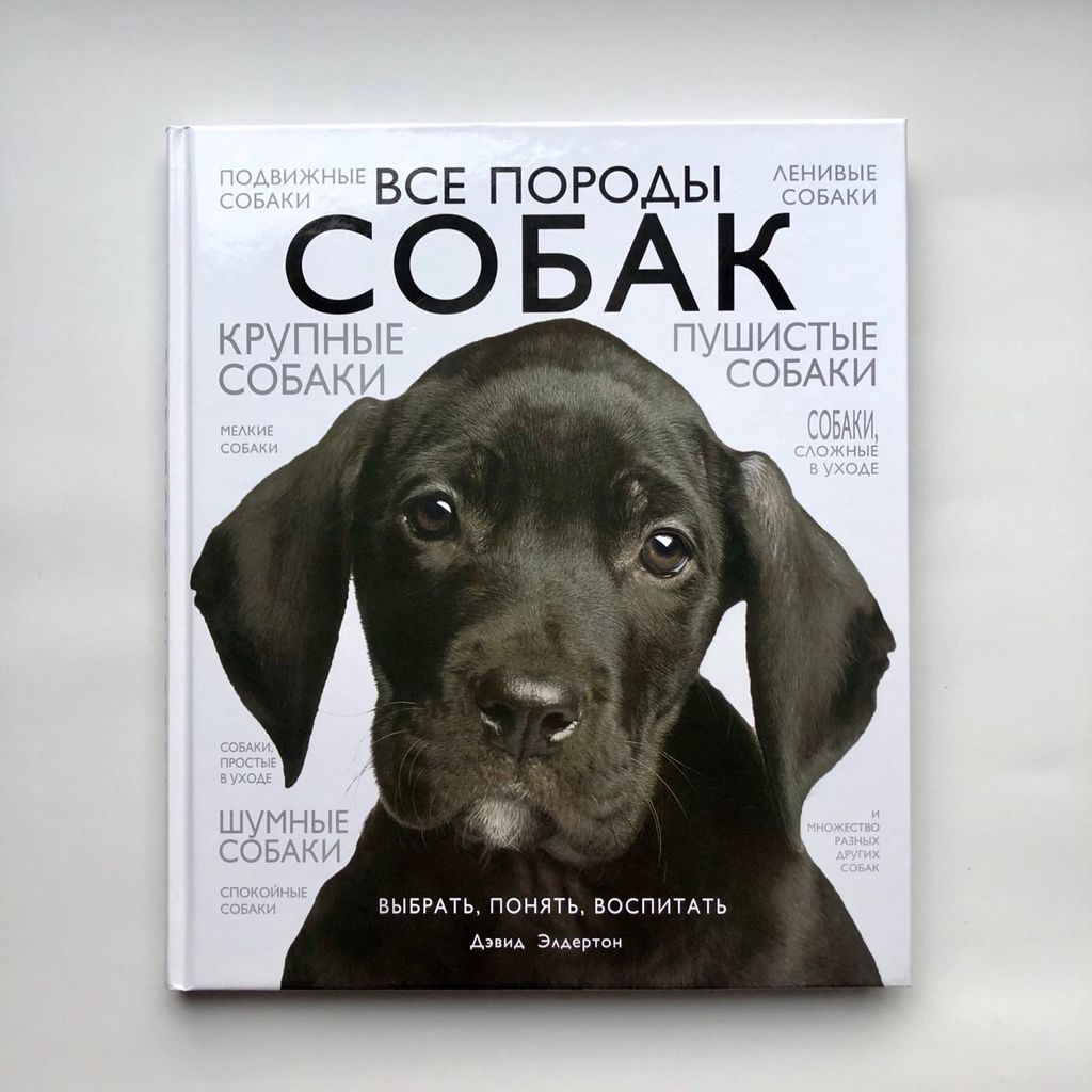 Породы собак – фотографии, названия и описания | Royal Canin